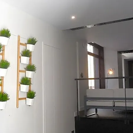 Loft Luxe Hyper Centre: Terrasse/piscine/ Salle De Sport