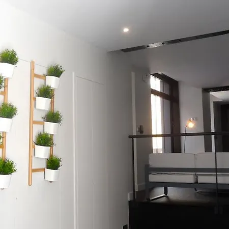 Loft Luxe Hyper Centre: Terrasse/piscine/ Salle De Sport Bed & Breakfast Bordeaux