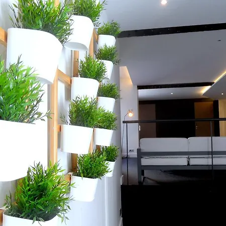 Loft Luxe Hyper Centre: Terrasse/piscine/ Salle De Sport 4*